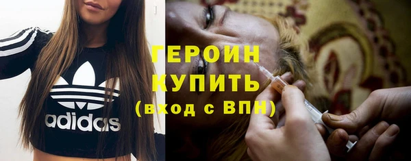 индика Осинники