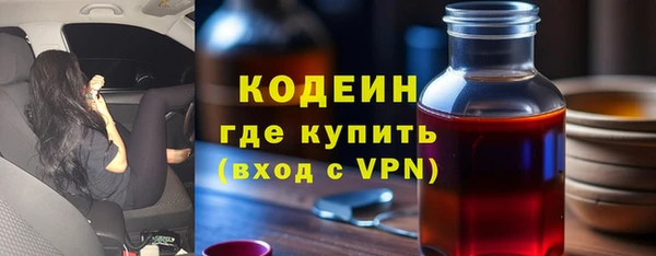индика Няндома