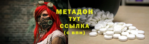 индика Няндома