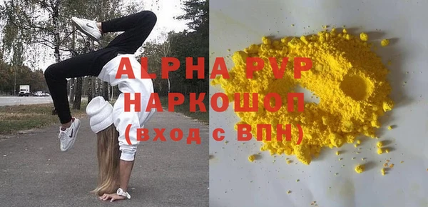 индика Няндома