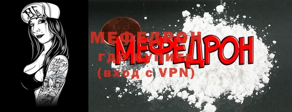 индика Няндома