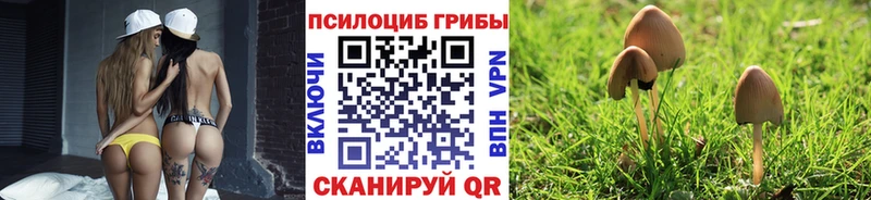 Псилоцибиновые грибы Cubensis  даркнет как зайти  Павлово 